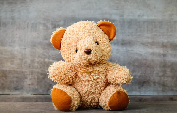 Wallpaper toy, Bear, plush images for desktop, section разное - download