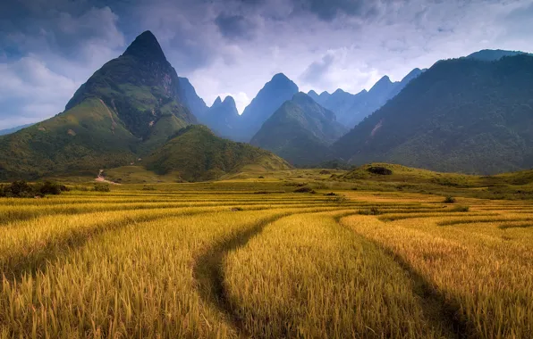 The sky, grass, clouds, mountains, meadow