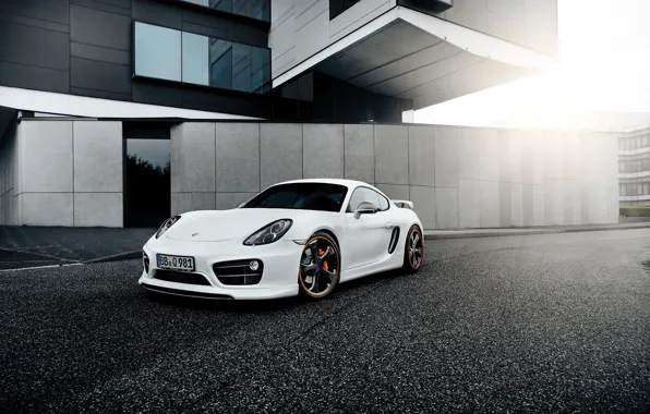 Picture white, tuning, Porsche, TechArt, Porsche Cayman