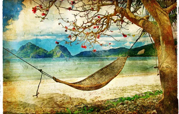 Sea, tree, foliage, hammock, vintage, vintage, old photo