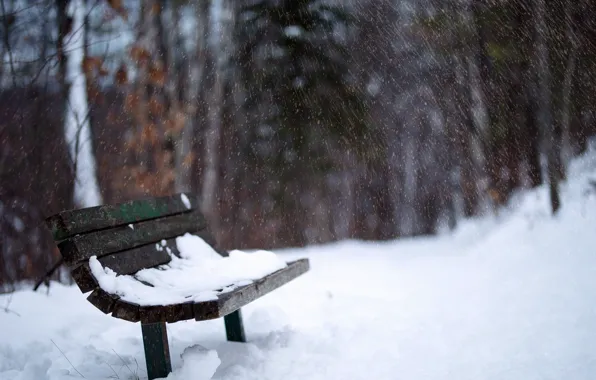 Winter, snow, bench