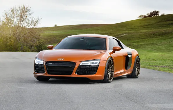 Audi, Orange, Wheels, Strasse, Samo, r8