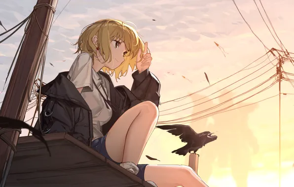 Roof, the sky, girl, Raven