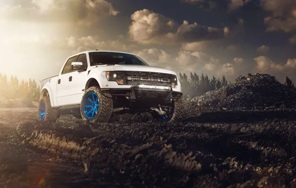 Picture Ford, Front, Sun, White, F-150, Wheels, ADV.1, RaptorTrax