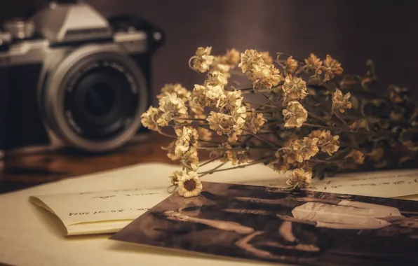 Flowers, old, memory, style, retro, paper, table, photo