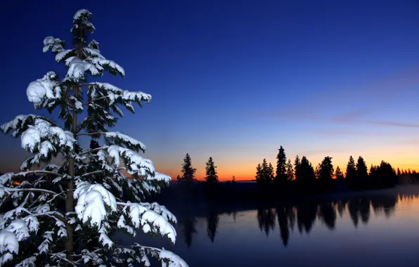 Picture winter, forest, the sky, snow, sunset, river, spruce