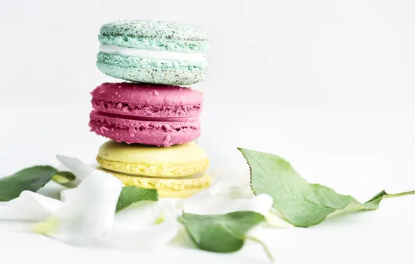 Cookies, leaves, macaroon, Dessert, almond