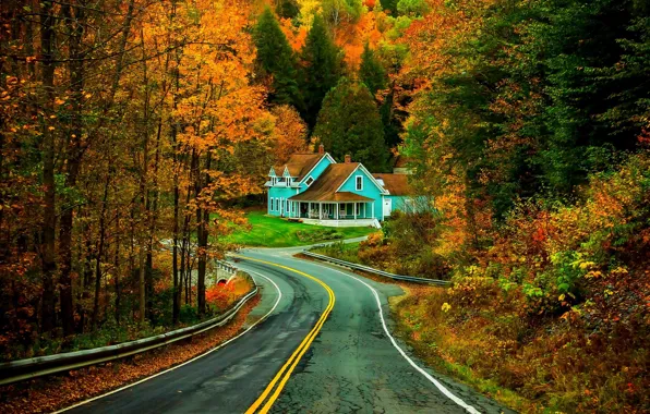 Road, autumn, forest, grass, leaves, trees, nature, house