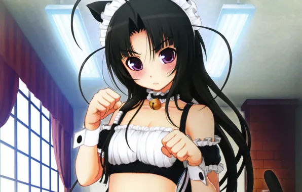 Girl, anime, ears, Super Sonic, Suzu Fuji