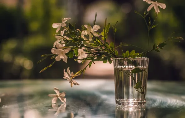 Picture flowers, glass, background