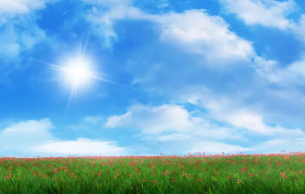 Picture field, grass, the sun, flowers, art, red