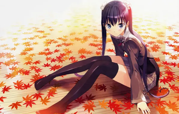 Look, leaves, girl, smile, feet, stockings, floor, blush