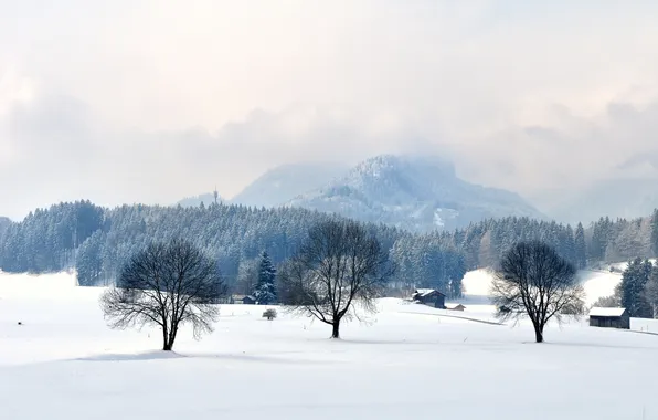 Winter, forest, clouds, snow, trees, mountains, home