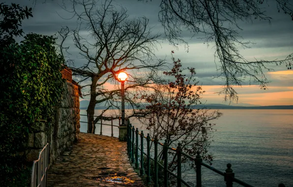 Trees, sunset, branches, shore, the evening, lantern, Bay, Croatia