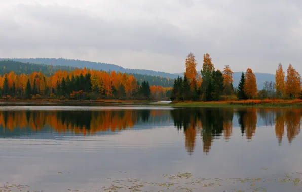 Autumn, reflection, trees, mountains, lake, overcast, Nature, colors