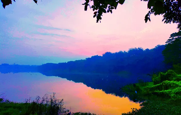 Sky, Grass, Water, Sunrise, Dawn, Morning, Lake, Trees