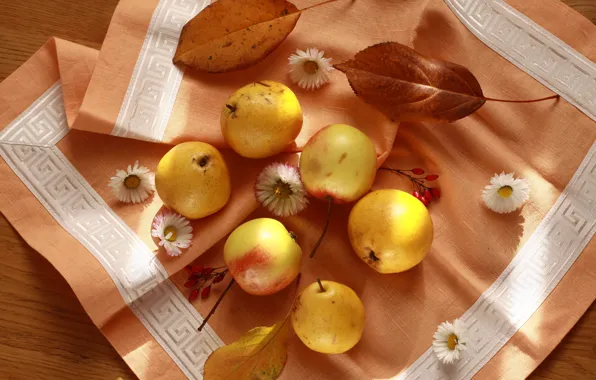 Picture autumn, leaves, flowers, apples, fruit, still life, pear, napkin