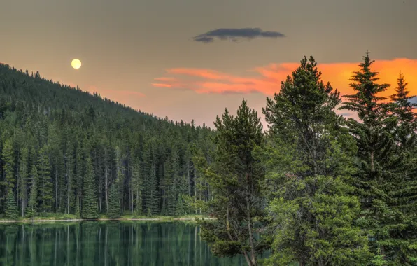 Forest, trees, sunset, lake, Canada, Albert, Banff National Park, Alberta