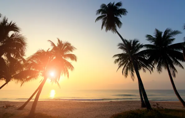 Sand, sea, wave, beach, summer, the sky, sunset, palm trees