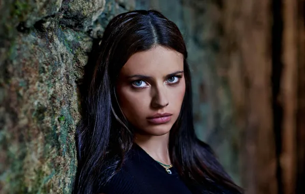 Picture Adriana Lima, model, lips, hair, look