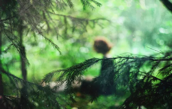 Picture greens, forest, girl, branch, figure, tree