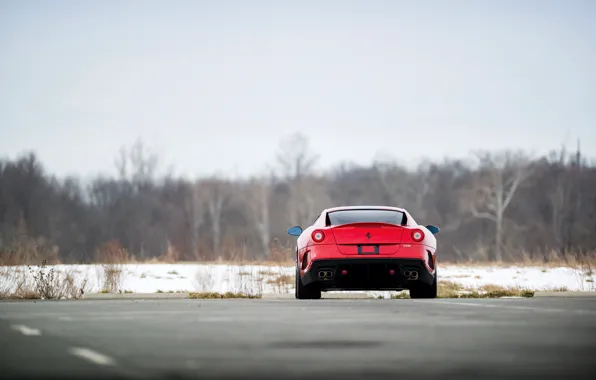 Picture Ferrari, 599, rear, Ferrari 599 GTO