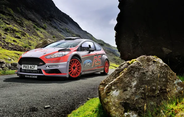 Picture Ford, WRC, Fiesta