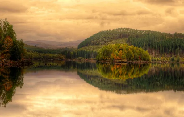 Forest, clouds, mountains, lake, reflection, shore, treatment, symmetry