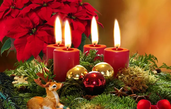 Flowers, branches, balls, tree, candles, Christmas, Christmas, poinsettia