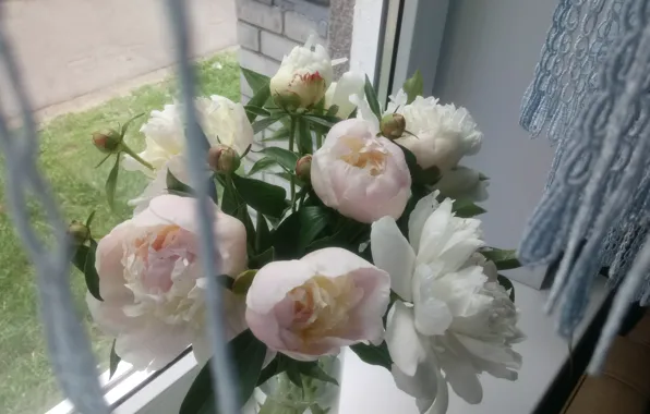 Picture Bouquet, June, Peonies, itemAt