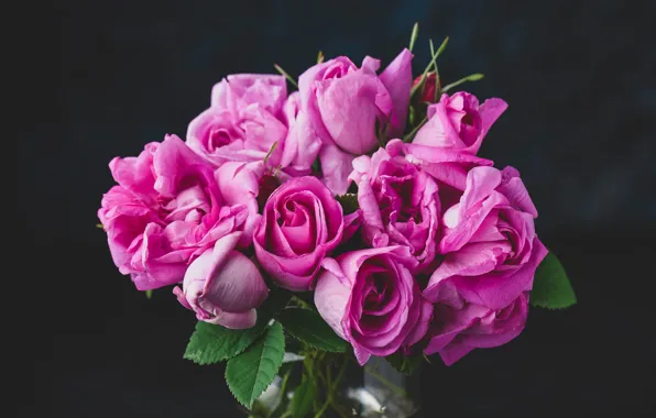 Flowers, the dark background, roses, bouquet, Bank, pink