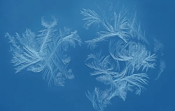 Cold, winter, frost, glass, pattern, window, frost