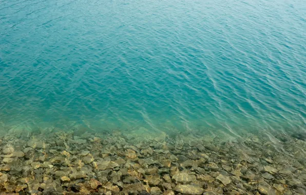 Picture water, transparency, stones, shore