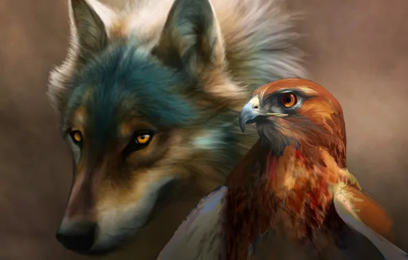 Bird, eagle, Wolf, painting, art, novawuff