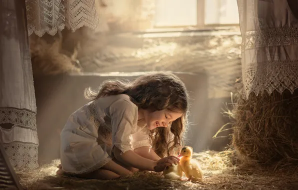 Picture joy, hair, hay, girl, ducklings