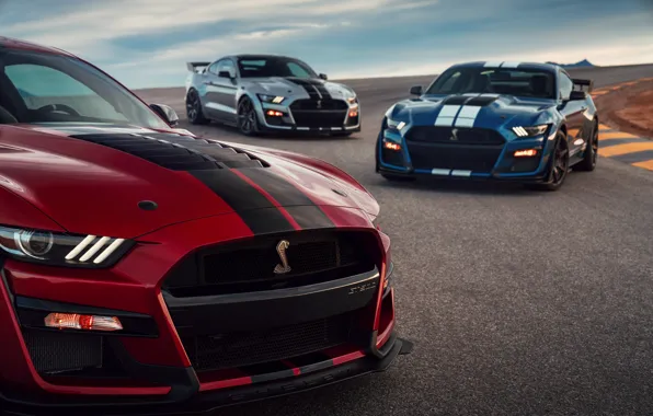 Blue, Mustang, Ford, Shelby, GT500, the hood, three, bloody