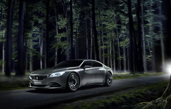 Concept, Peugeot, Car, Road, 2014, Ligth, Nigth, Exalt