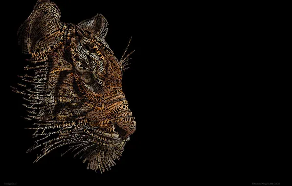 Tiger, background, black