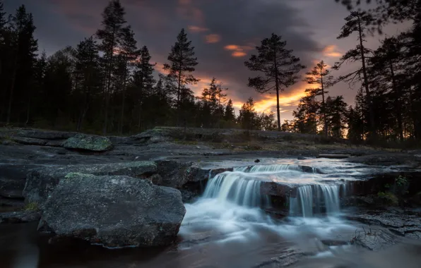 Picture forest, trees, sunset, stones, rocks, waterfall, the evening, twilight