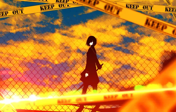 The sky, girl, the sun, clouds, sunset, weapons, the fence, katana