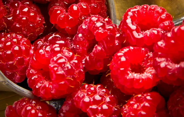 Berries, berries, Malinka, Malinka