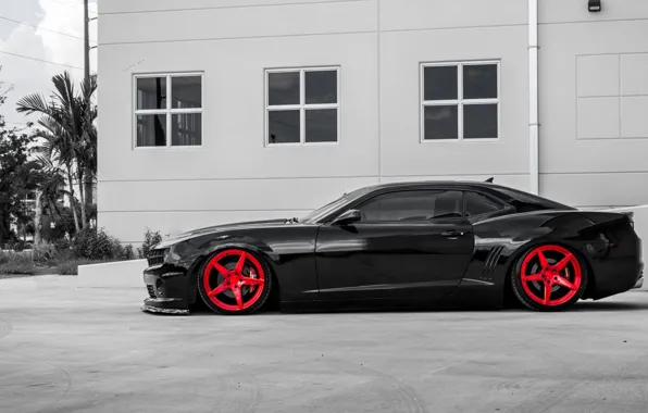 Muscle, Camaro, Coupe, Tuning, Vehicle, Red wheels