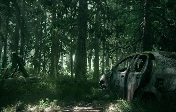 Car, game, tree, The Last of Us, vegetation, The Last of Us Part 2