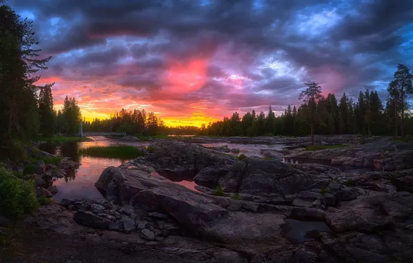 Forest, sunset, river, Finland, In Kuusamo