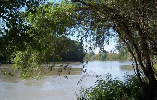 River, Kuban, Krasnodar Krai, Meduzanol ©, Duct