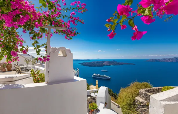 Picture sea, flowers, island, Santorini, Greece, liner, terrace, Santorini