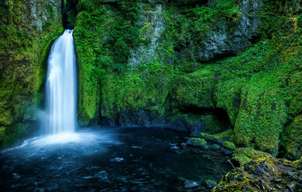 Greens, forest, rock, stones, waterfall, moss, USA, Oregon