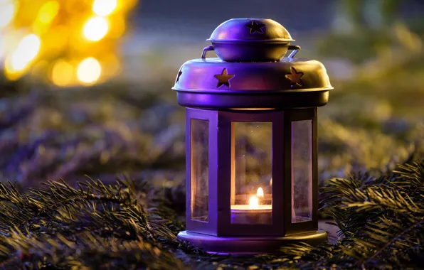 Winter, purple, light, branches, lights, lilac, holiday, candle