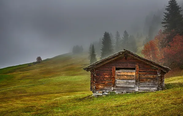 Nature, fog, Canton of Bern, Mountain Hut