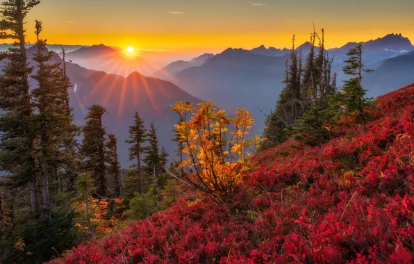 Autumn, trees, sunset, mountains, The cascade mountains, Washington State, Cascade Range, Washington